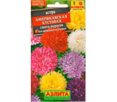 Семена Астра Американская кустовая, 0.2гр