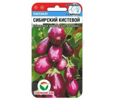 Семена "Баклажан Сибирский кистевой" 20 шт.