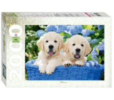Мозаика puzzle 2000 "Щенята в корзине"