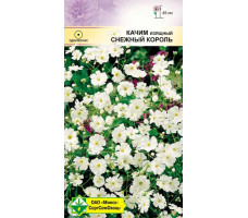 Семена Качим изящный Снежный король 0,5 г арт. 1209300000