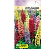 Семена Люпин многолистный Гибриды Рассела 0,1 г