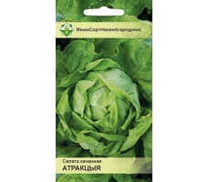 Семена МССО Салат Атракция кочанный 0,5 гр.
