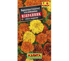 Семена Бархатцы Избранник отклоненные, смесь окрасок