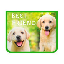 Папка д/тетр. А5, BEST FRIEND, на молнии Папка д/тетр. А5, BEST FRIEND, на молнии