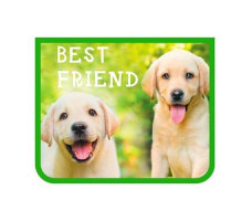 Папка д/тетр. А5,  BEST FRIEND, на молнии