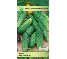 Семена огурец "Малыш F1" 0,6 гр.