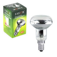 Лампа накаливания Favor R63 230-40 E27 арт.8105010 Лампа накаливания Favor R63 230-40 E27 арт.8105010