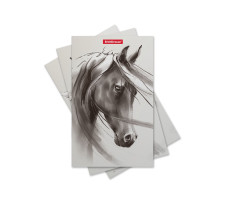 Записная книга на скобе ErichKrause® Wild Horse, 112х181 мм, 32 листа, в точку