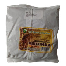 Пшеница 0,5кг яровая Рассвет Пшеница 0,5кг яровая Рассвет