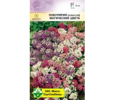 Семена МССО Лобулярия морская Магические цвета 0,2 гр.