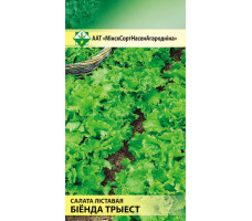 Семена Салат Грюнетта листовой 1г Беларусь