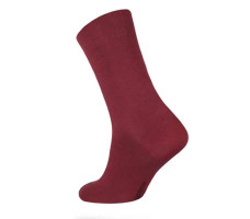 Носки мужские DiWaRi CLASSIC, р.25, 000 бордо