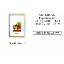 Рамка пласт. со стеклом белая 13х18 арт.22/602 Рамка пласт. со стеклом белая 13х18 арт.22/602